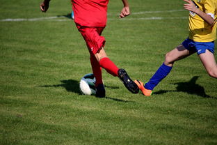 华体会app下载-五大联赛是否推动球员通过站位节奏学习适应战术切换,五大联赛地位