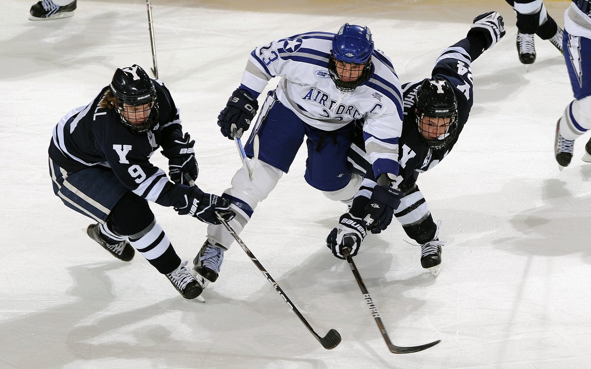 华体会app功能-体育文化周融合非遗展览丰富形式，中国体育非物质文化遗产保护与推广管理办法