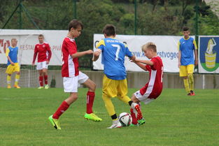 华体会体育hth-自由搏击教练参与校园自卫课程开发,学校自由搏击